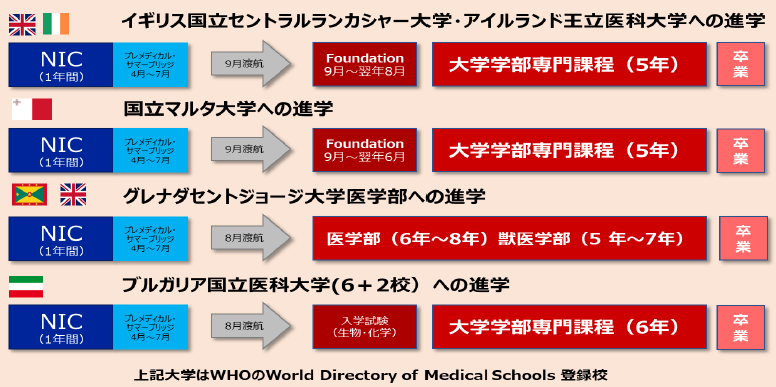 留学ニュース